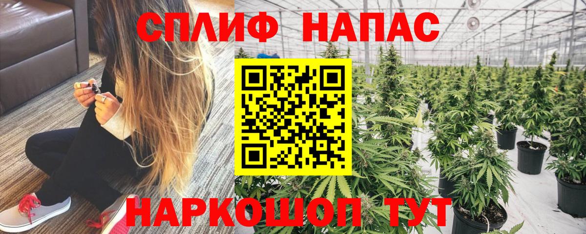 Слободской  Каннабис OG Kush  Шишки марихуана семена  Вход с VPN 